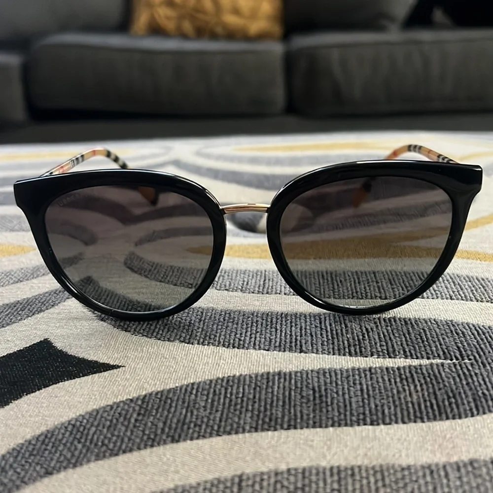 Burberry stylish cat